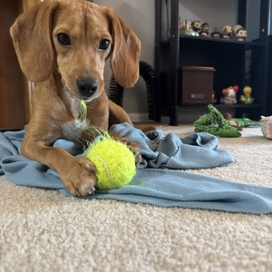 Fundraising Page: Christian Jamieson